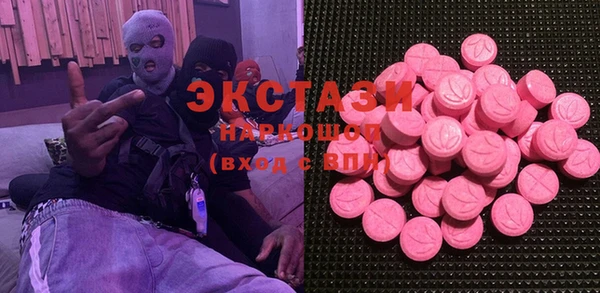 ECSTASY Богородицк