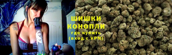 ECSTASY Богородицк